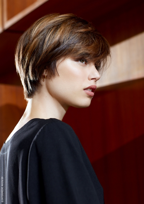 Coiffure courte 2020 femme coiffure-courte-2020-femme-86_7 