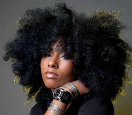 Afro cheveux afro-cheveux-25_3 
