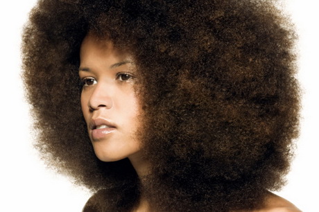 Afro cheveux afro-cheveux-25_4 