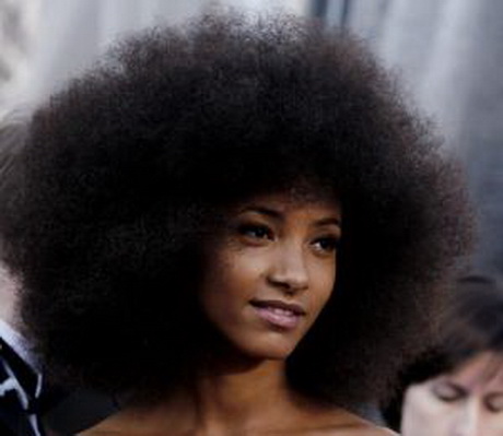 Afro cheveux afro-cheveux-25_5 