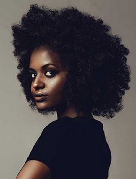 Afro coiffure afro-coiffure-10_14 
