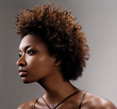 Afro coiffure afro-coiffure-10_4 