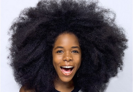 Cheveux afro cheveux-afro-20_5 