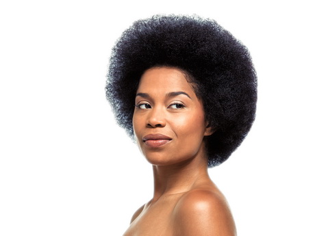 Cheveux naturels afro cheveux-naturels-afro-20 