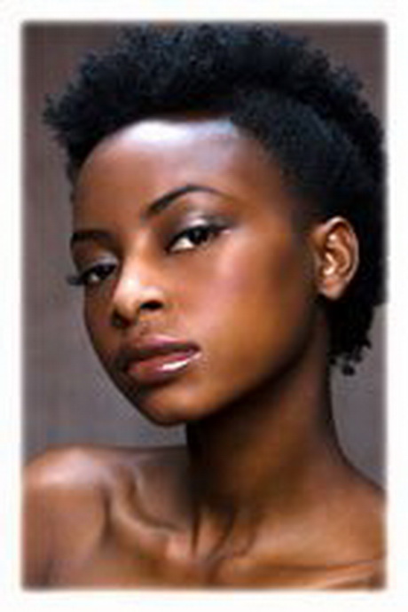 Cheveux naturels afro cheveux-naturels-afro-20_10 