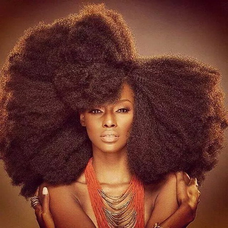 Cheveux naturels afro cheveux-naturels-afro-20_16 