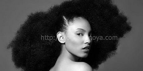 Cheveux naturels afro cheveux-naturels-afro-20_2 