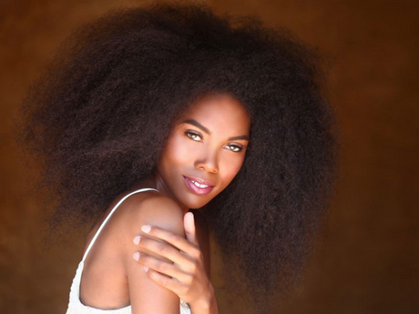Cheveux naturels afro cheveux-naturels-afro-20_3 