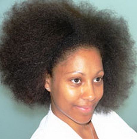 Cheveux naturels afro cheveux-naturels-afro-20_9 