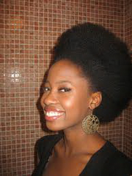 Coiffure afro naturel coiffure-afro-naturel-47_5 