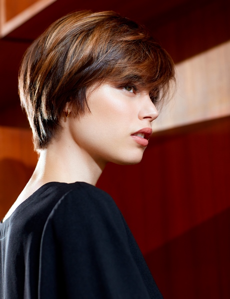 Coiffure courte pour femme 2020 coiffure-courte-pour-femme-2020-34 