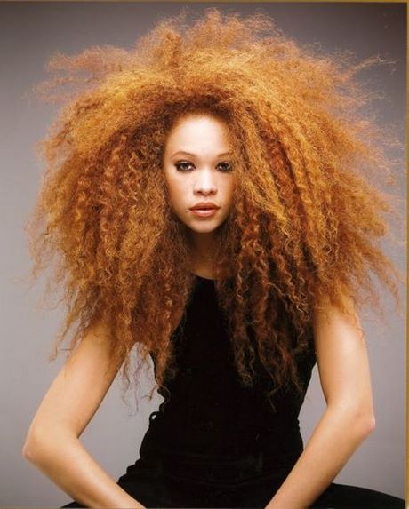 Couleur cheveux afro 2022 couleur-cheveux-afro-2022-17_4 