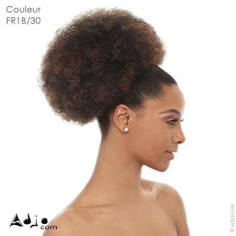 Coiffure afro chignon coiffure-afro-chignon-21_16 