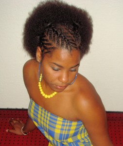 Coiffure tresse cheveux afro coiffure-tresse-cheveux-afro-85_11 