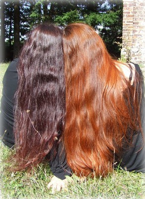 Les longs cheveux les-longs-cheveux-60_10 