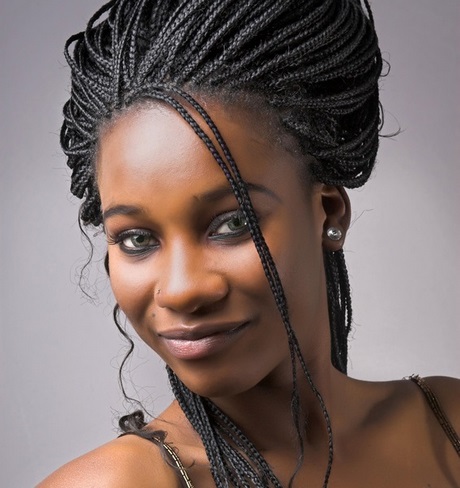 Cheveux afro tresse cheveux-afro-tresse-13 