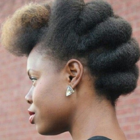 Coiffure africaine afro coiffure-africaine-afro-17_15 