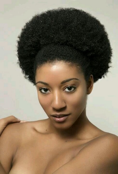 Afro cheveux crépus afro-cheveux-crpus-21_8 