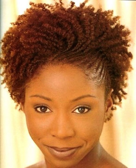 Afro cheveux naturels afro-cheveux-naturels-64_5 