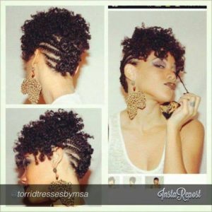 Idée coiffure cheveux afro ide-coiffure-cheveux-afro-25_8 