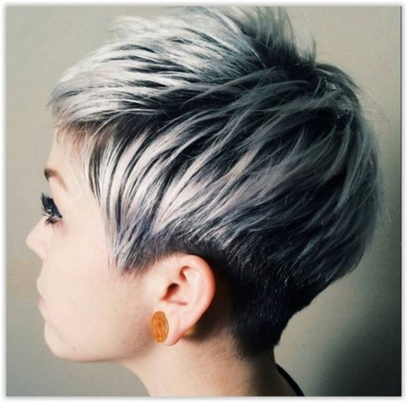 Cheveux court gris cheveux-court-gris-37 