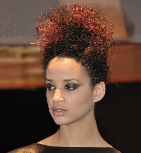 Coiffure afro antillaise femme coiffure-afro-antillaise-femme-75_17 