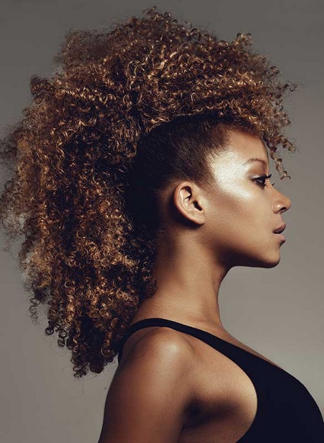 Coiffure afro antillaise femme coiffure-afro-antillaise-femme-75_6 