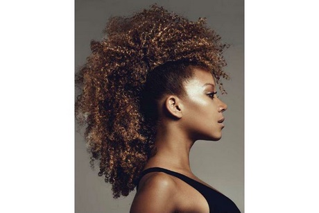 Modele de coiffure afro