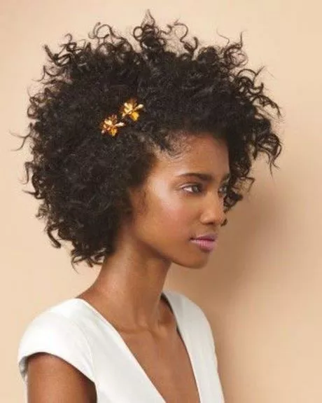 Coiffure afro femme 2024 coiffure-afro-femme-2024-63_9-14 