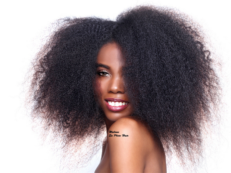 Coiffure afro coiffure-afro-68_5 