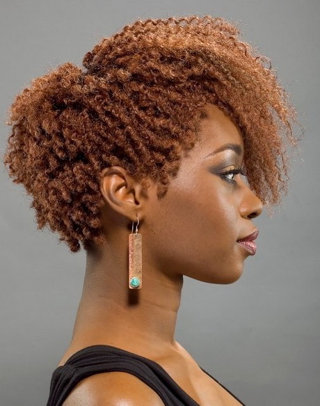 Style afro coiffure style-afro-coiffure-53_2 