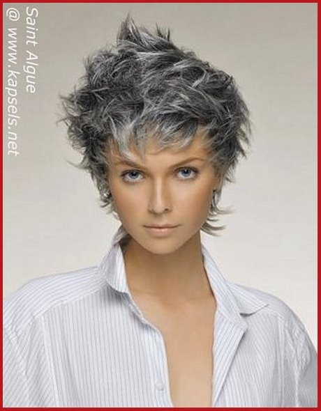 Cheveux gris court 2022 cheveux-gris-court-2022-07_2 