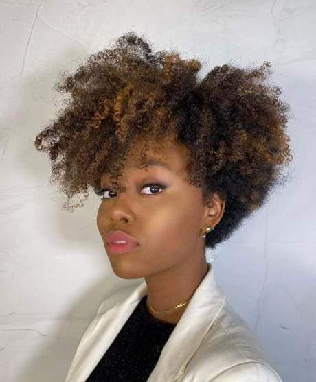 Coiffure afro femme 2022