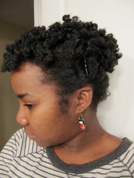 Cheveux naturels afro coiffure cheveux-naturels-afro-coiffure-51_6 