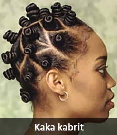 Coiffure africaine avec cheveux naturels coiffure-africaine-avec-cheveux-naturels-30_17 