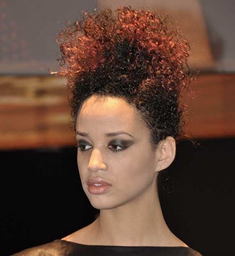 Coiffure femme afro antillaise coiffure-femme-afro-antillaise-79_2 