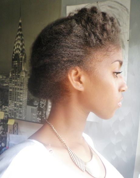 Coiffure cheveux afro naturel coiffure-cheveux-afro-naturel-89_18 