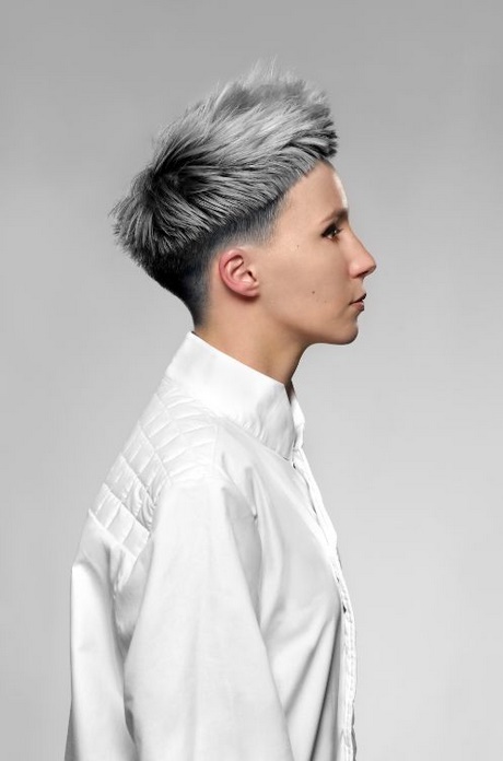 Coiffure cheveux gris coiffure-cheveux-gris-24_10 