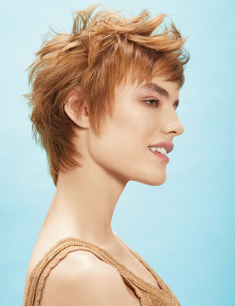Coiffure courte femme tendance 2021 coiffure-courte-femme-tendance-2021-75_3 