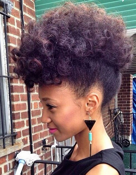 Idée coiffure afro tresse ide-coiffure-afro-tresse-17_14 