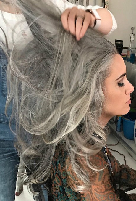 Cheveux long gris femme cheveux-long-gris-femme-68_8 