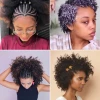 Coiffure afro femme 2024